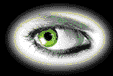 augefl.gif (14383 Byte)